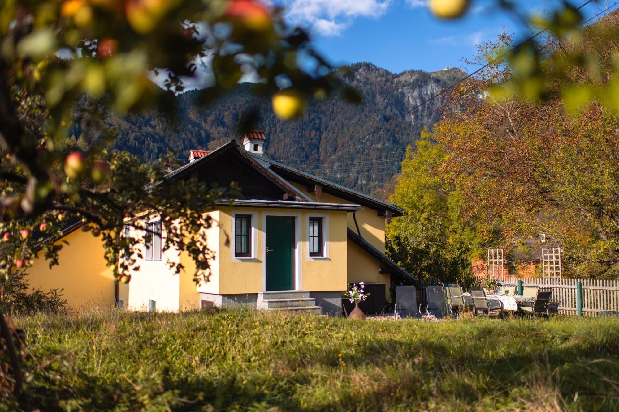 Ferienhaus Alexandra In Ebensee Dış mekan fotoğraf